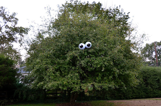 Fun and Cute Eyeballs in a Tree Halloween Decor
