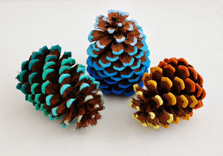 colorful ombre pine cones 