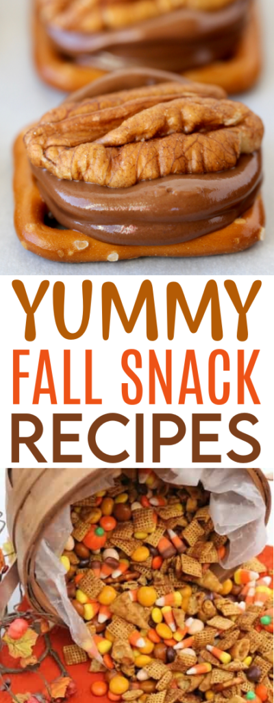 Yummy Fall Snack Recipes roundup