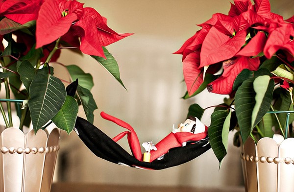 elf on the shelf is having a siesta