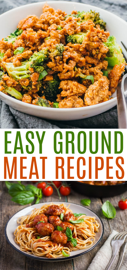 Easy Ground Meat Recipes Roundup