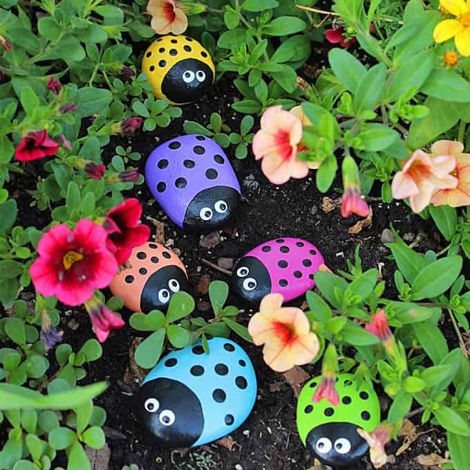 adorable ladybug painted rocks