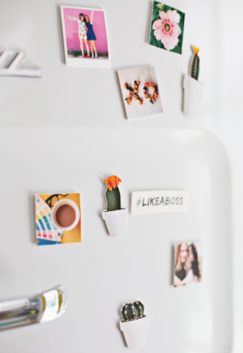 Cute cacti fridge magnets