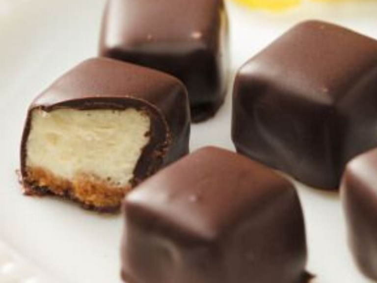 Bite-size chocolate covered cheesecake squares