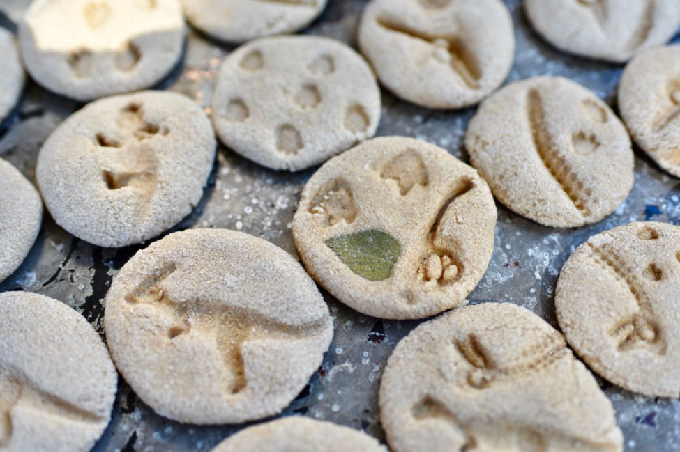 Easy DIY Dinosaur Fossil Craft Made with Salt Dough for Kids
