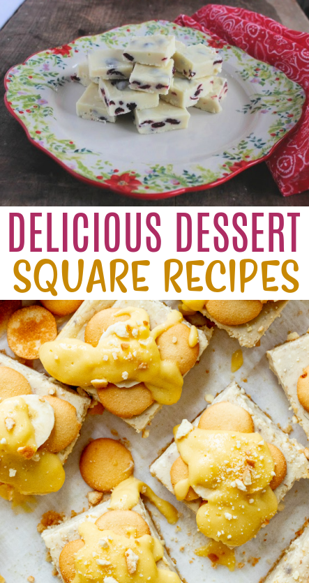 Delicious Dessert Square Recipes roundups
