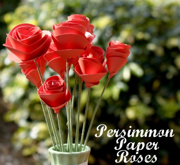 persimmon paper roses