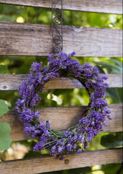 a lavender wreath hanging