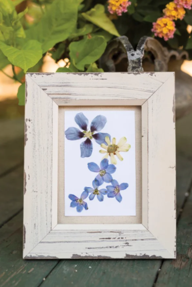 A beautiful framed pressed flowers
