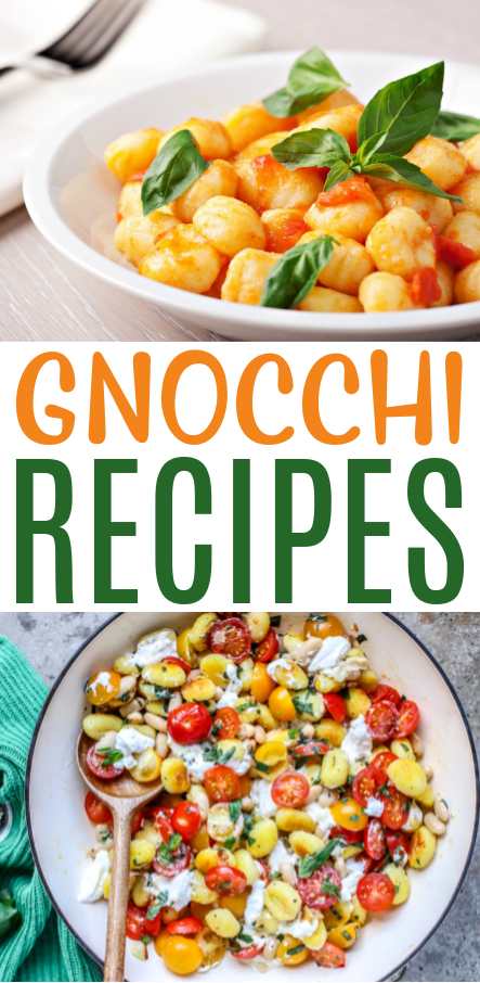 Gnocchi Recipes roundups