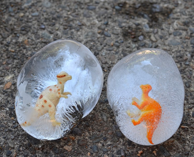 Frozen dinosaur eggs for kids