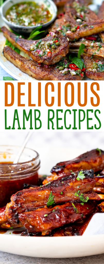 Delicious Lamb Recipes Roundup