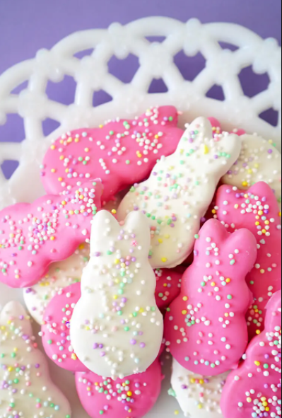 Homemade Easter Bunny Circus Animal Cookies Dessert Recipe for Kids