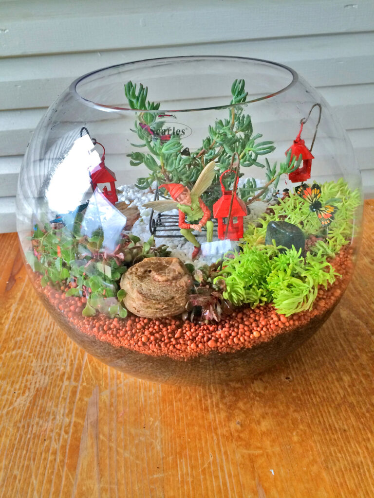 Miniature Terrarium Fairy Garden