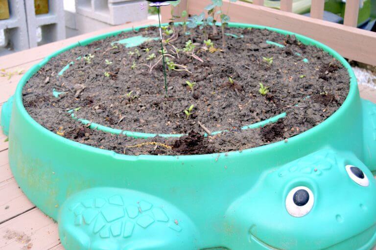 Fun Upcycling Old Sandbox Into Kid’s Garden
