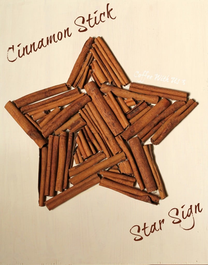cinnamon stick star sign