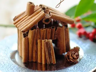 Cinnamon stick house
