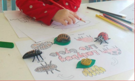 ladybug life cycle sensory play and fun coloring pages