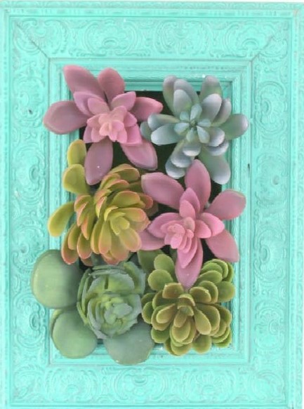 Dollar store DIY Vertical Succulents Garden Wall Hanging