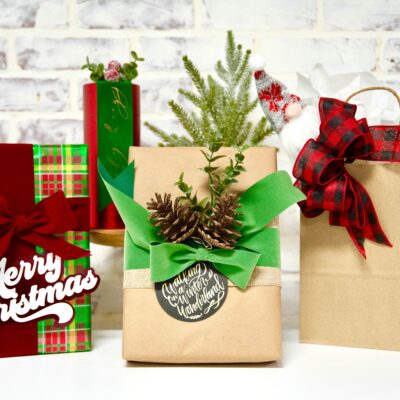 Christmas Gift Wrapping Ideas thumbnail